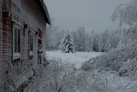 Deserted house, plants covered by frost