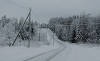 Country road in winter
