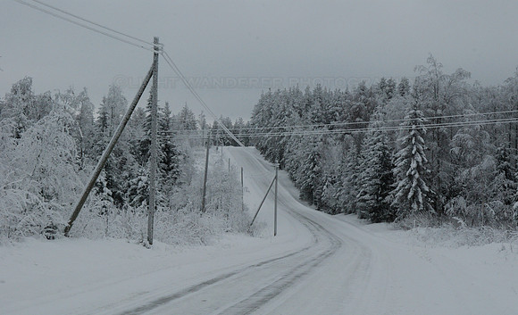 Country road in winter