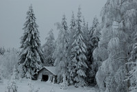 Finland and Norway