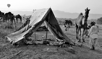 Shelter of herdsmen