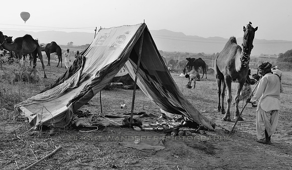 Shelter of herdsmen