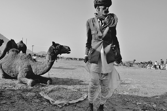 Herder and camel