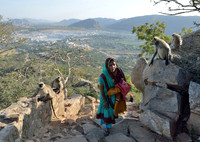 Gray langur (hanuman) monkies, woman walking up the stone steps