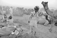 Scene from Pushkar Camel Fair