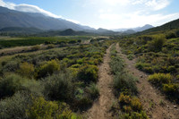 Jeep track through bush