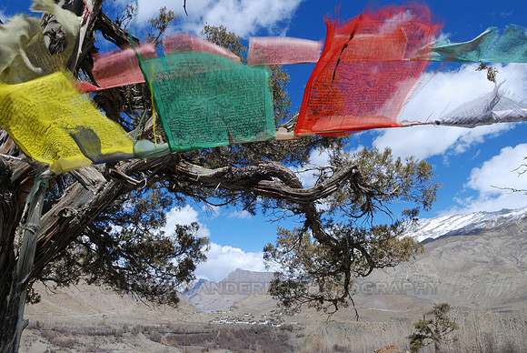 Tibetan buddhist prayer flags