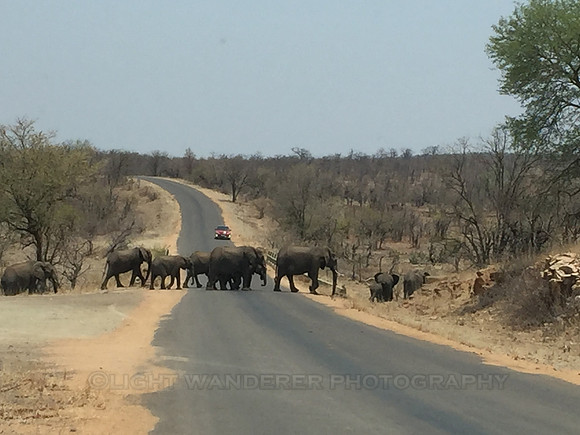 Kruger