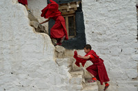 Young monks hurrying up the stairs