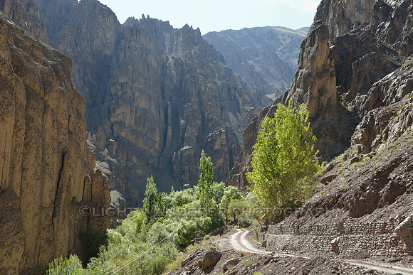 Road leading to the village of Mangyu