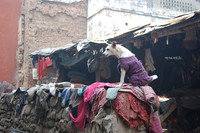 Garbage collectors watchdog