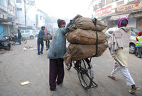 Transporting goods on a bicycle