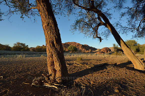 Early morning light at Damaraland