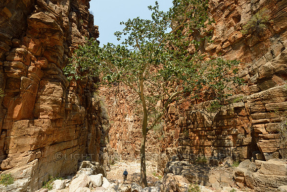 Hiking through red rock canyon