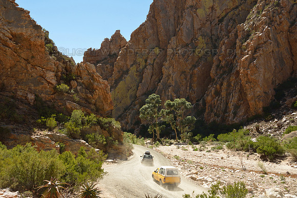 Cars driving through red rock canyon