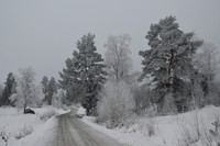 Winter landscapes from Kangasala, Finland