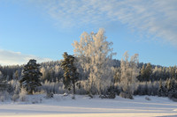 Rare sunny day in winter