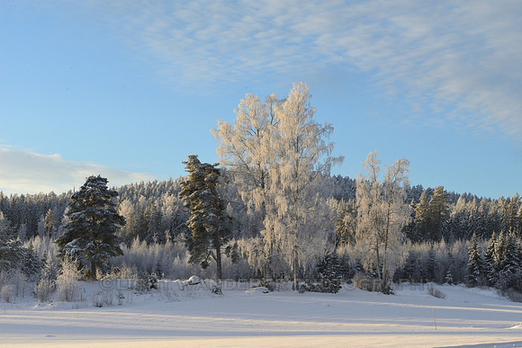 Rare sunny day in winter