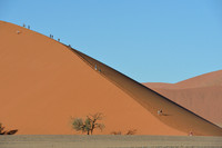 Tourist climbing up Dune 45