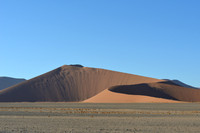 Elegant shapes created by natural forces