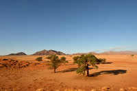 Namibia, vast landscapes and open blue skies