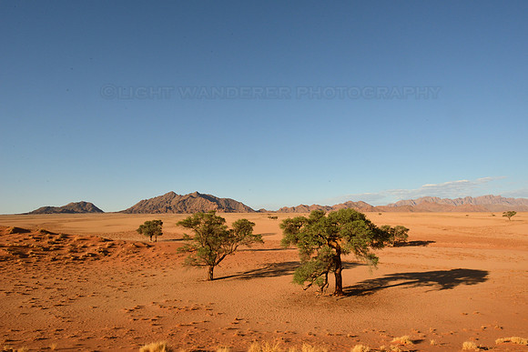 View from Elim Dune at sunset time