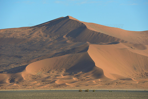 Sand dune at sunrise