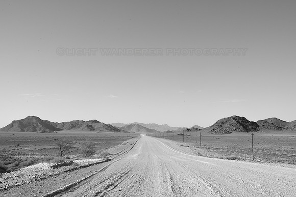 Road C19