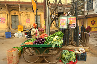 Vegetable seller with cart