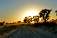 Safari road at sunrise