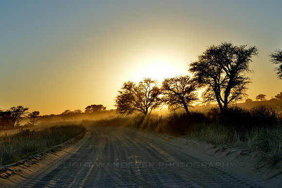 Safari road at sunrise