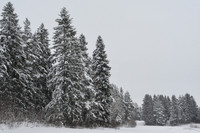 Color image taken in winter can look like monochrome