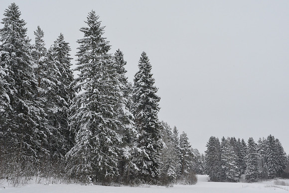 Color image taken in winter can look like monochrome