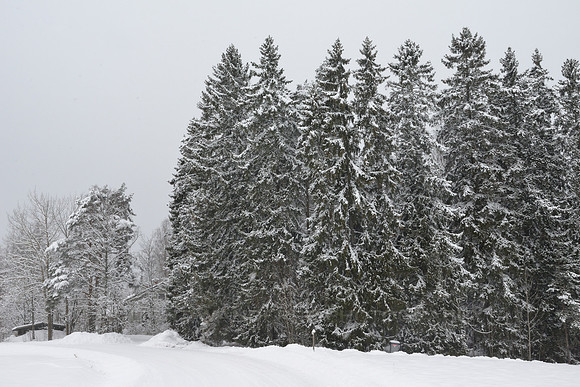Color photo taken in winter can look like monochrome