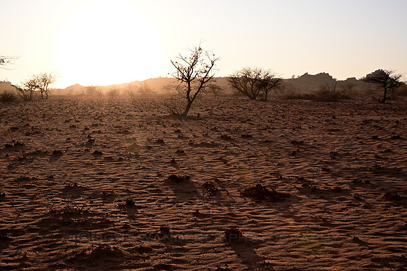 Sunrise in Damaraland