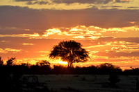 Sunset in Etosha