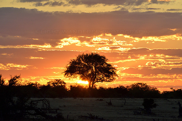 Sunset in Etosha