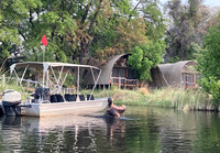 Hippo