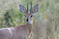 Namibia