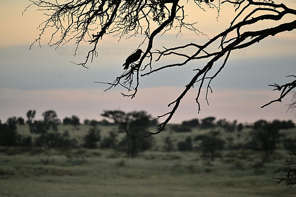 Sunrise view