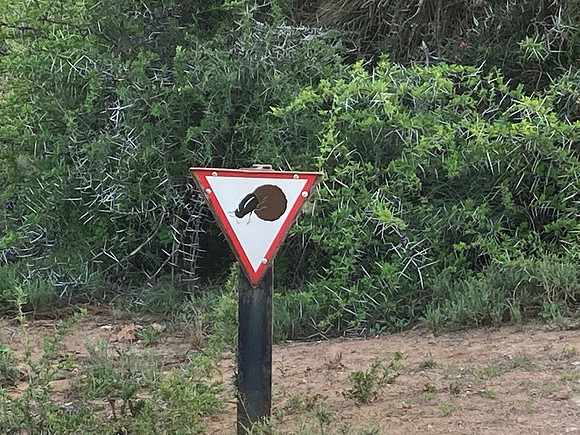 Slow down